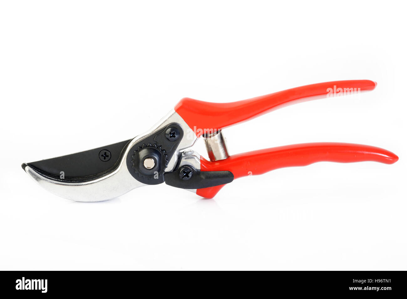garden secateurs on white background Stock Photo Alamy