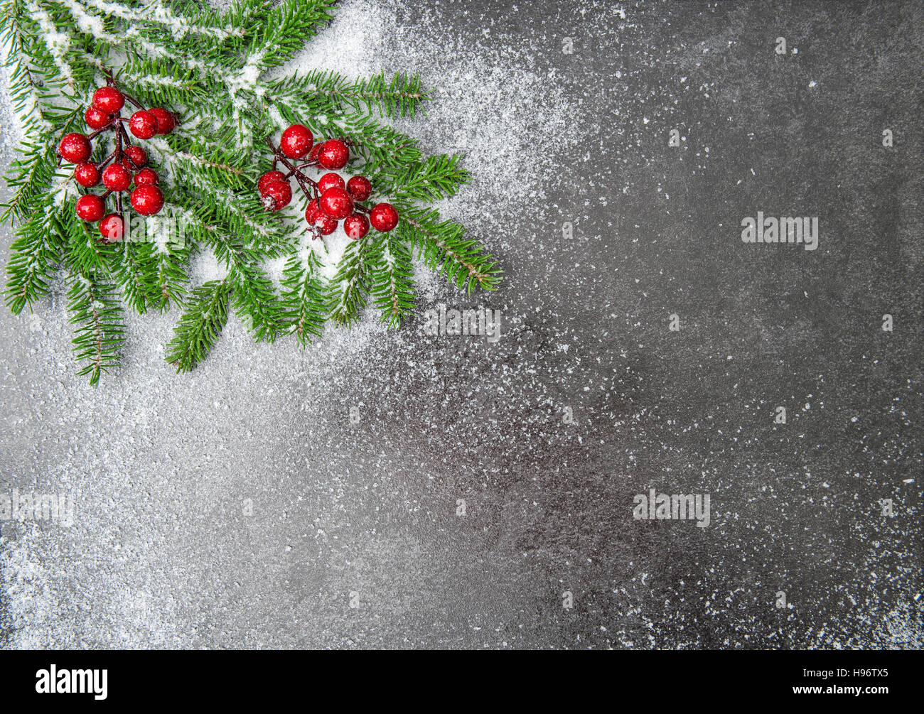 Christmas tree branches with red berries. Holidays background with snow ...