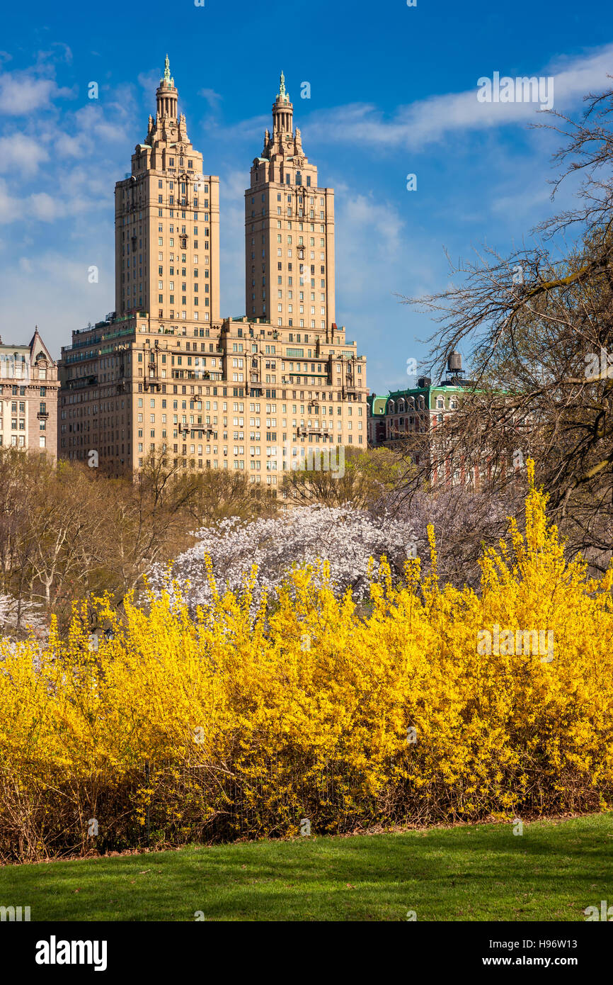 Sunrise on the towers of the San Remo Building with Central Park in Spring, Upper West Side, Manhattan, New York City Stock Photo