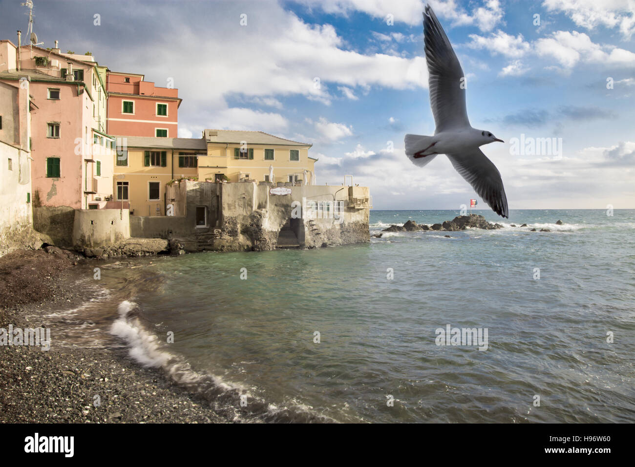 Bird soars over gently lapping waves at shore by seaside village on beautiful summer day Stock Photo