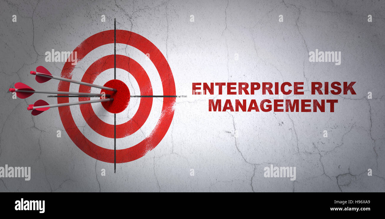 Business concept: target and Enterprice Risk Management on wall ...