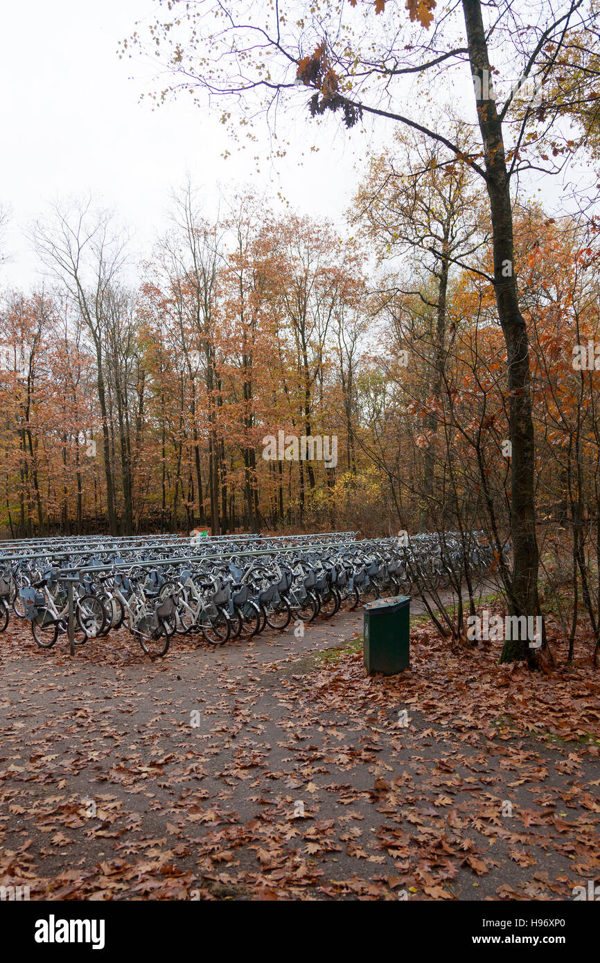 Holland hoge veluwe national park hires stock photography and images Alamy
