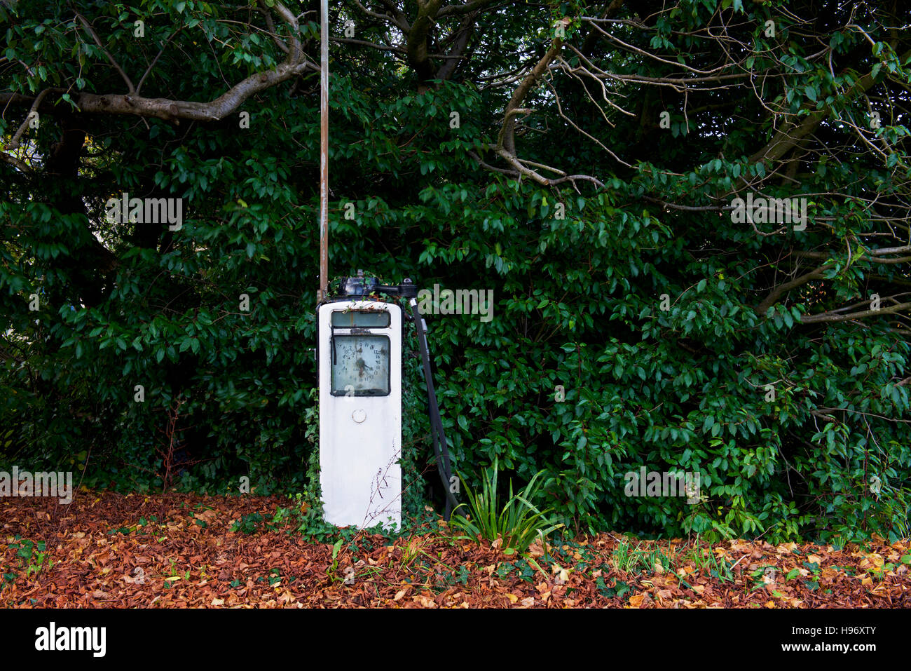 Gas pump from abandoned petrol station, Exbury, New Forest, Hampshire, England UK, Stock Photo