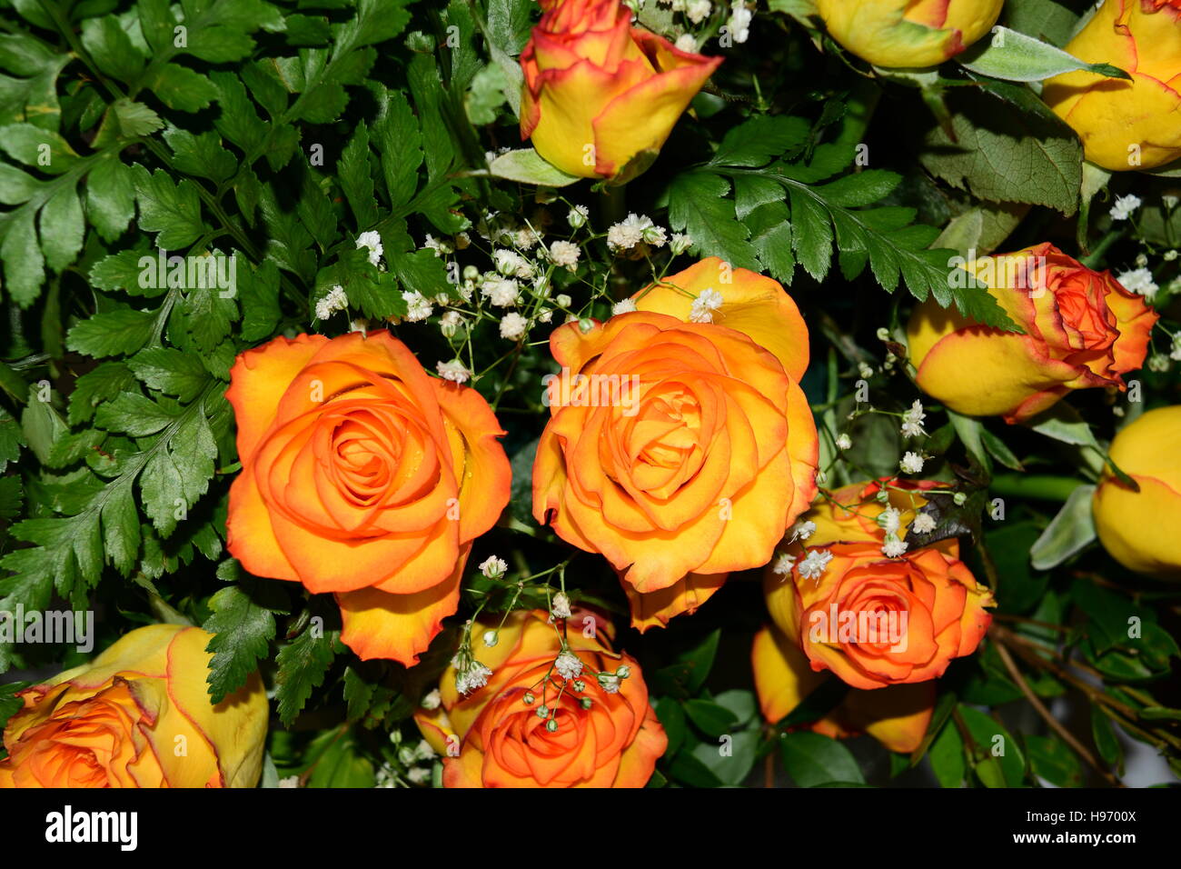 Rose bouquet Stock Photo