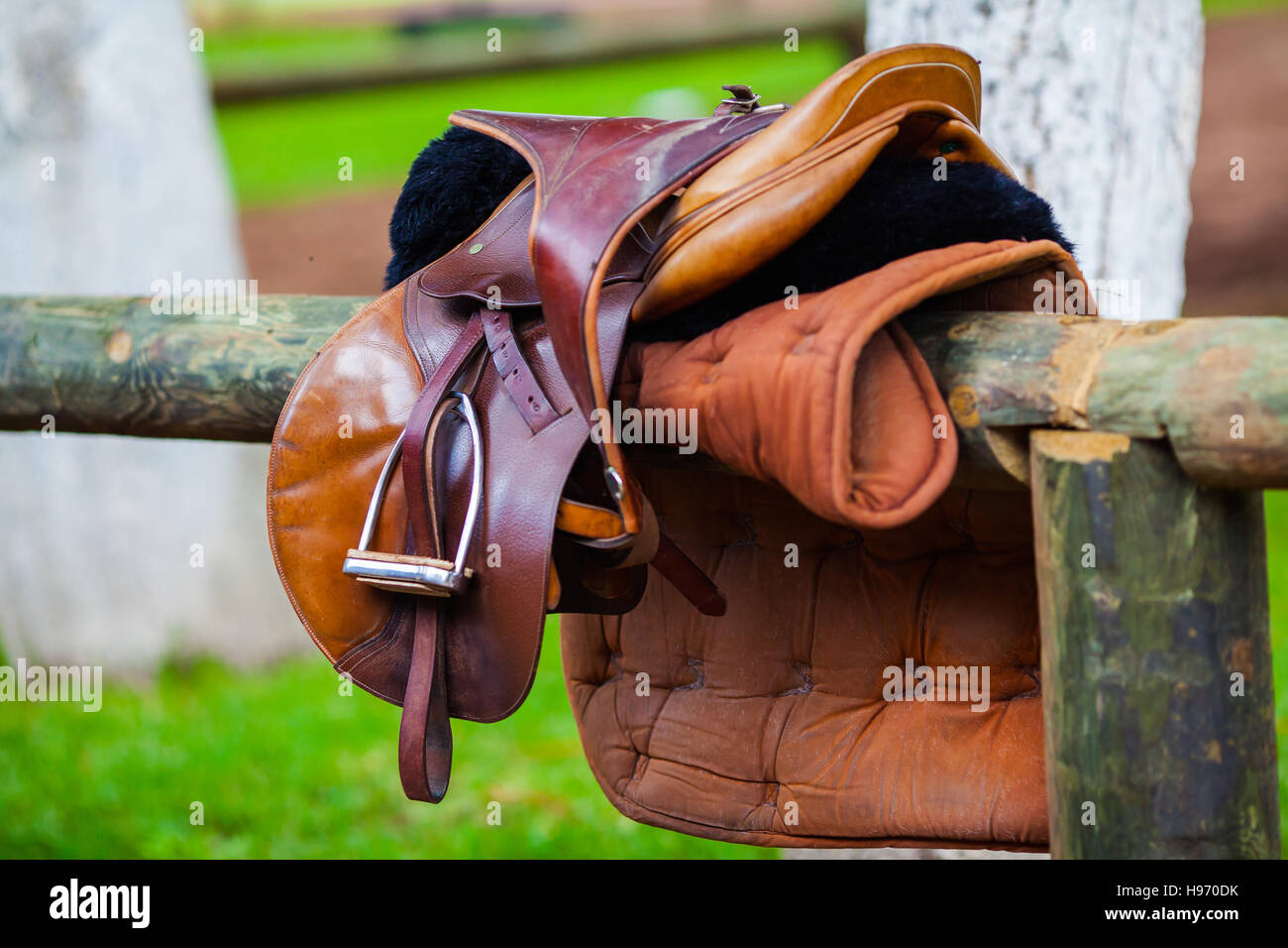 Highquality luxury leather saddle for horse riding Stock Photo Alamy