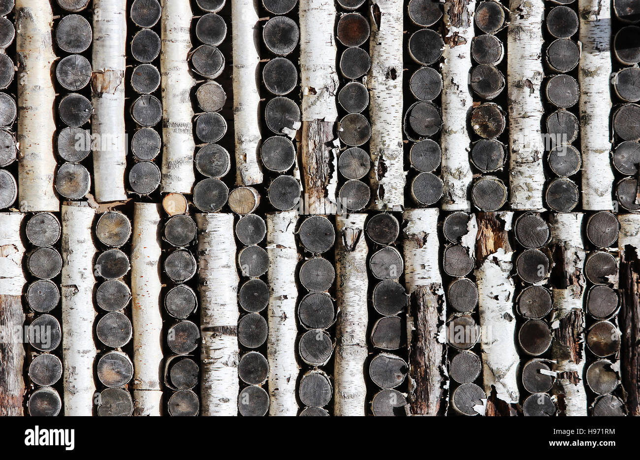 texture of birch logs stacked pattern on the walls of the house Stock ...
