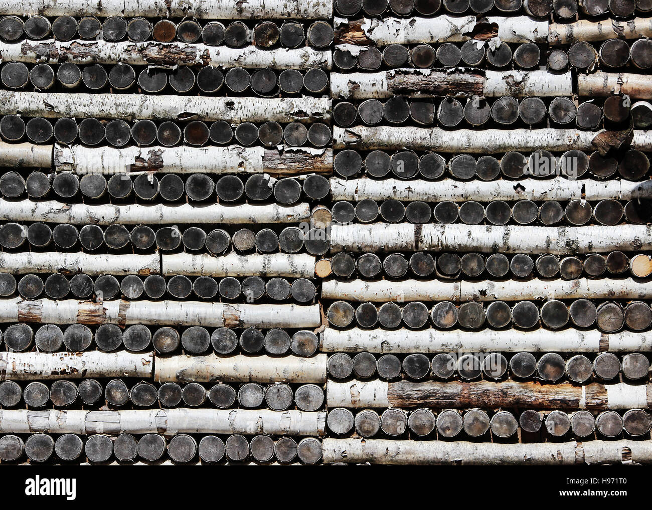 texture of birch logs stacked pattern on the walls of the house Stock ...