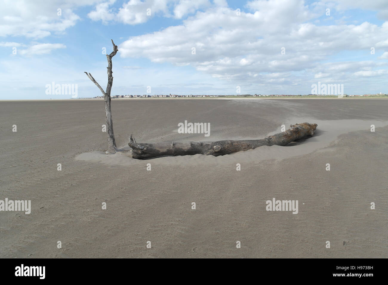 Blue sky white clouds view, towards St Annes, tree trunk with tall ...