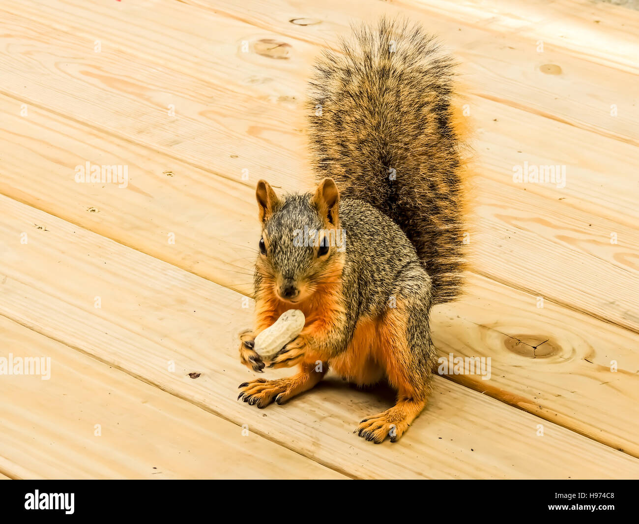 Winter in the state of Michigan,America Stock Photo