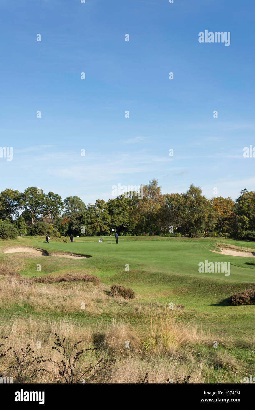 Green with bunkers, Sunningdale Golf Course, Sunningdale, Berkshire, England, United Kingdom Stock Photo