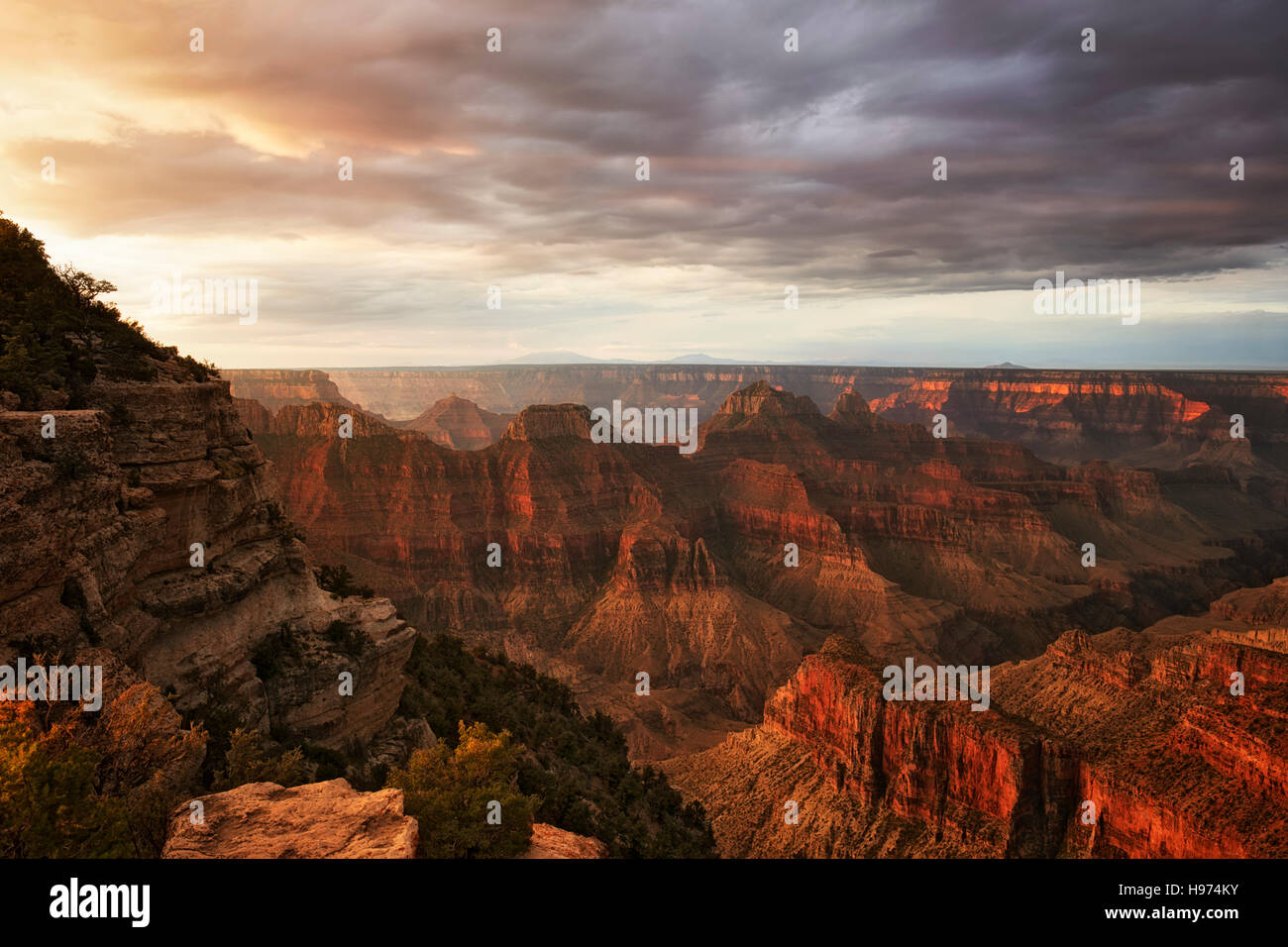 Sunrise glow on the North Rim of Arizona's Grand Canyon National Park as August monsoon thunderstorms build overhead. Stock Photo