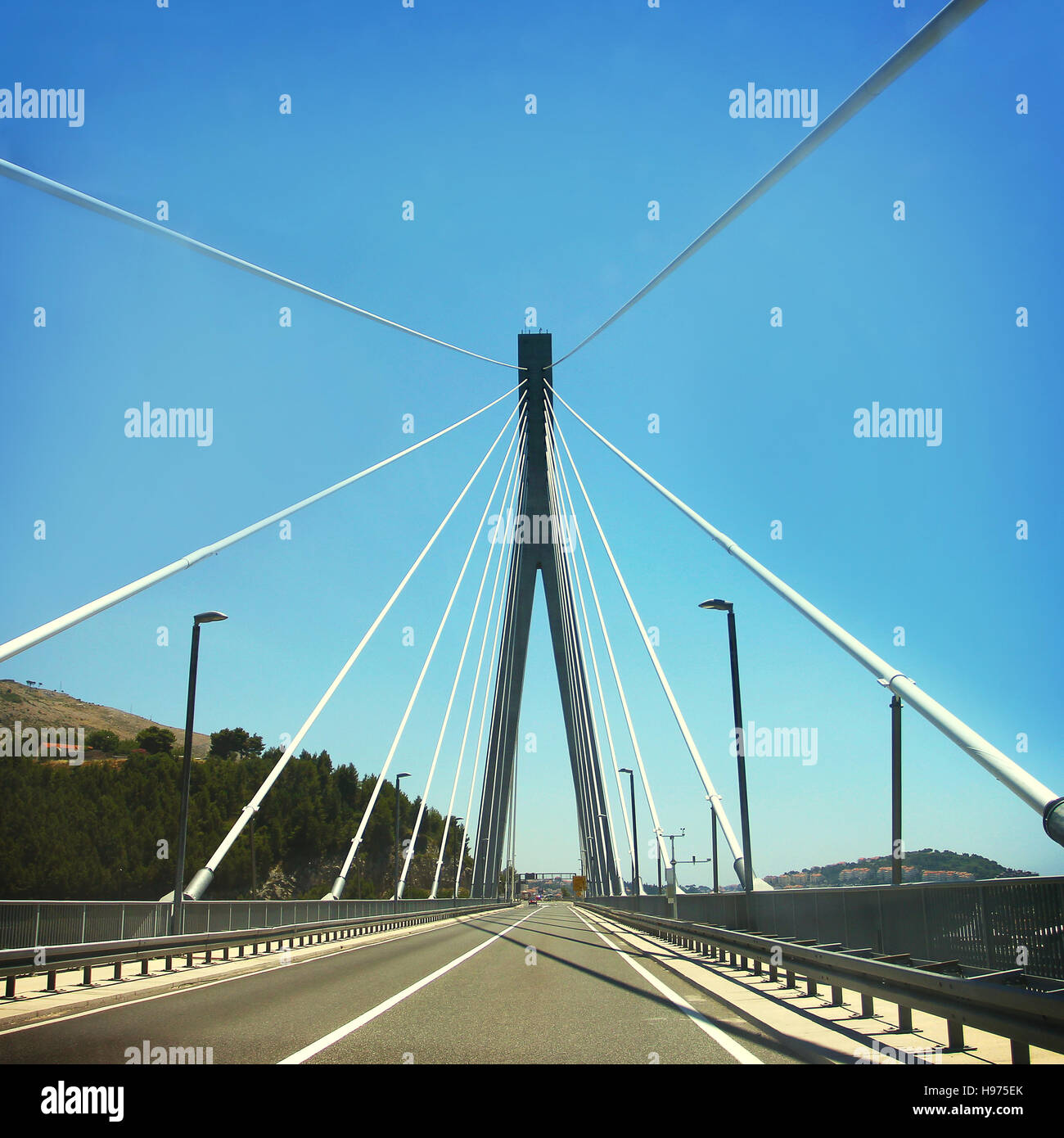 Road on cable-stayed bridge Stock Photo