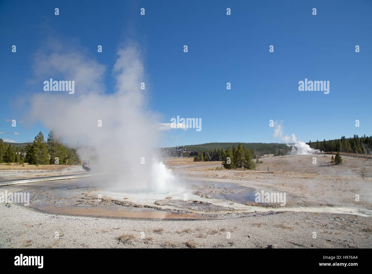 Sawmil geyser eruption in the Yellowstone national park, USA Stock ...