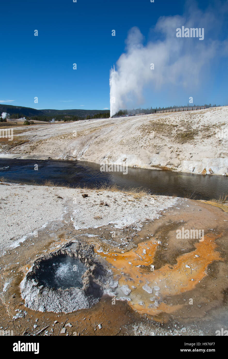 Cone geyser eruption in the Yellowstone national park, USA Stock Photo