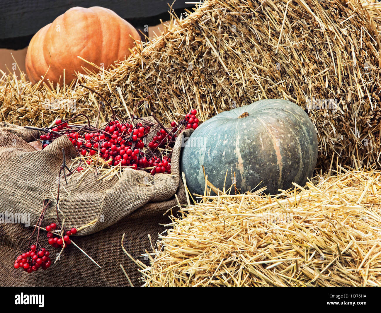Thanksgiving Display of Pumpkin on hay stacks and burlap sack with red
