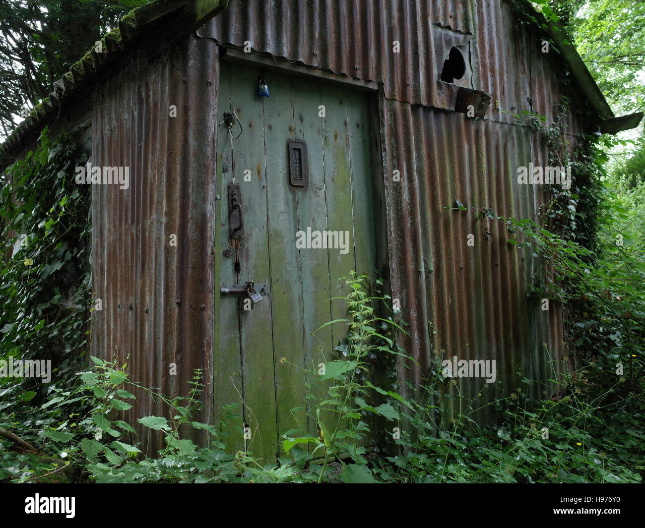 Old shed in woods Stock Photo - Alamy
