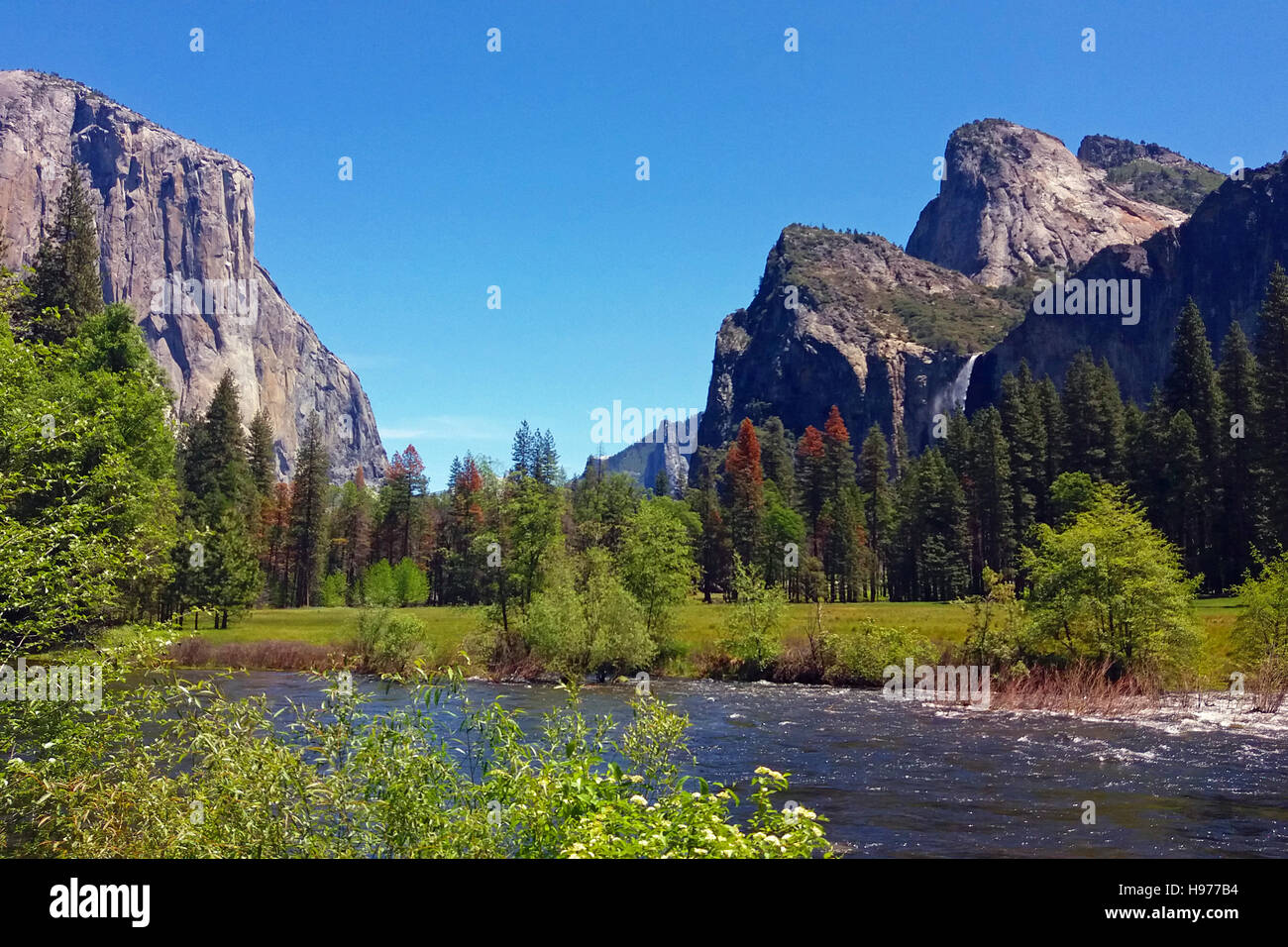 Merced river In Yosemite Valley. Bridalveil fall on background. Yosemite National Park on May. Stock Photo