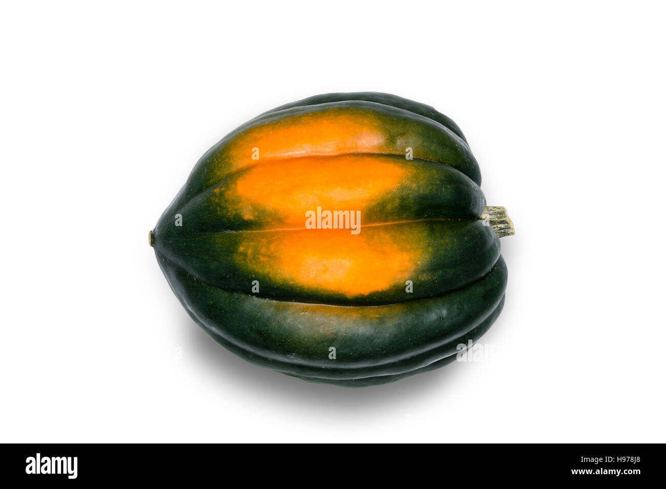 Close Up Side View Still Life of Single Whole Acorn Squash with Green and Orange Skin in Silhouette on White Studio Background with Copy Space Stock Photo