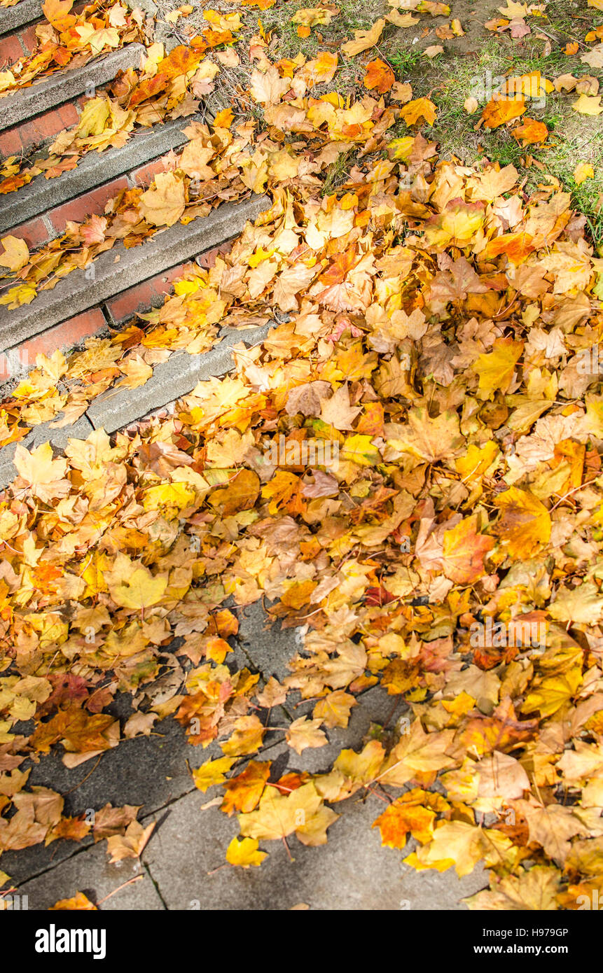 Urban Stock Photo