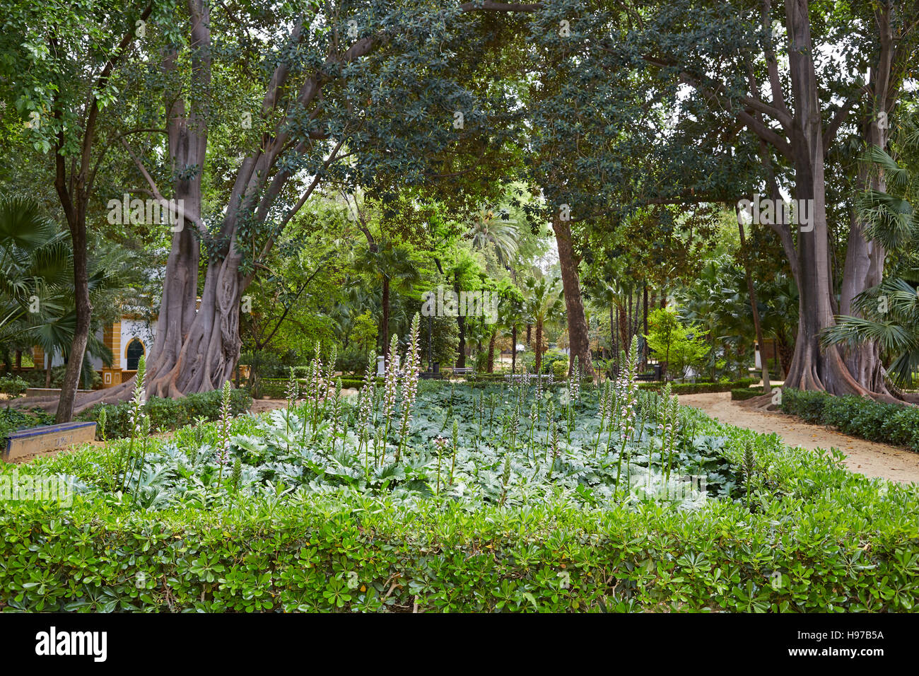 seville maria luisa park gardens in andalucia spain Stock Photo