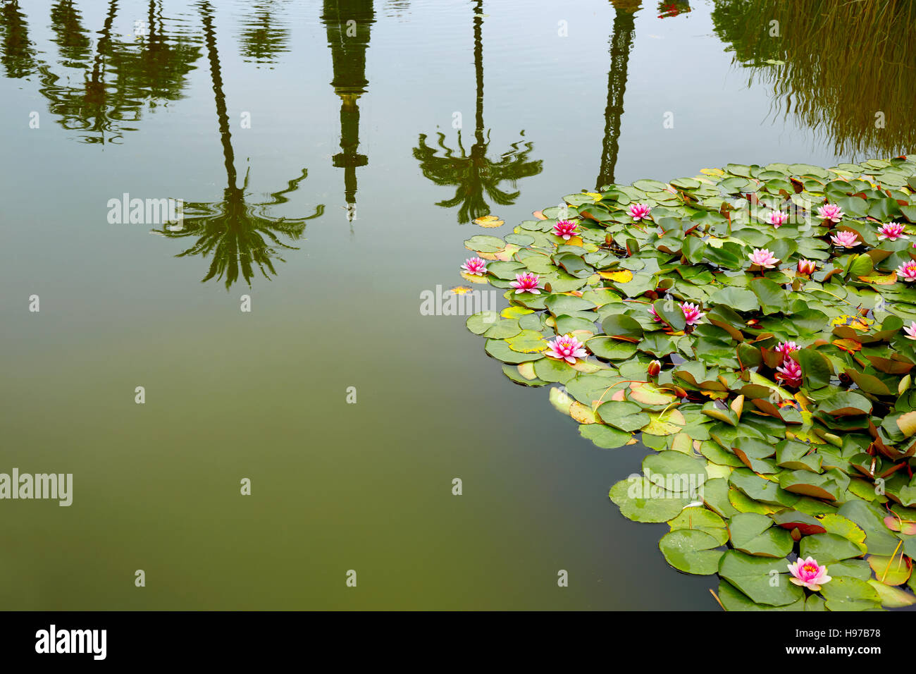 seville maria luisa park gardens in andalucia spain Stock Photo