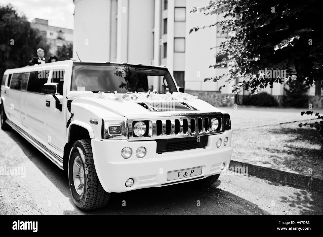 Kyiv, Ukraine - August 31: Elegance white wedding limousine Hummer H2 with newlyweds on car sunroof at wedding day. Black and white photo Stock Photo