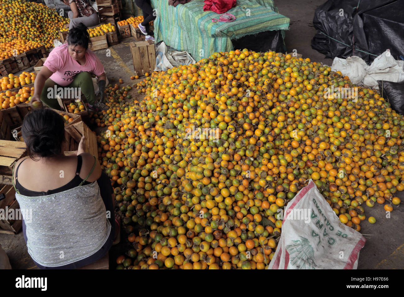 Ecuador, amazon, Banos Stock Photo Alamy