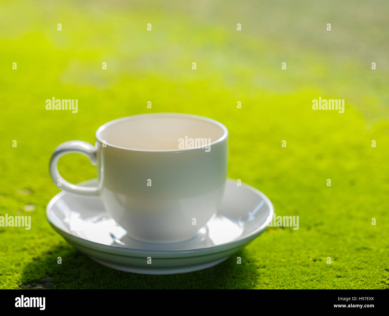 Coffee cup on Moss surface Stock Photo - Alamy