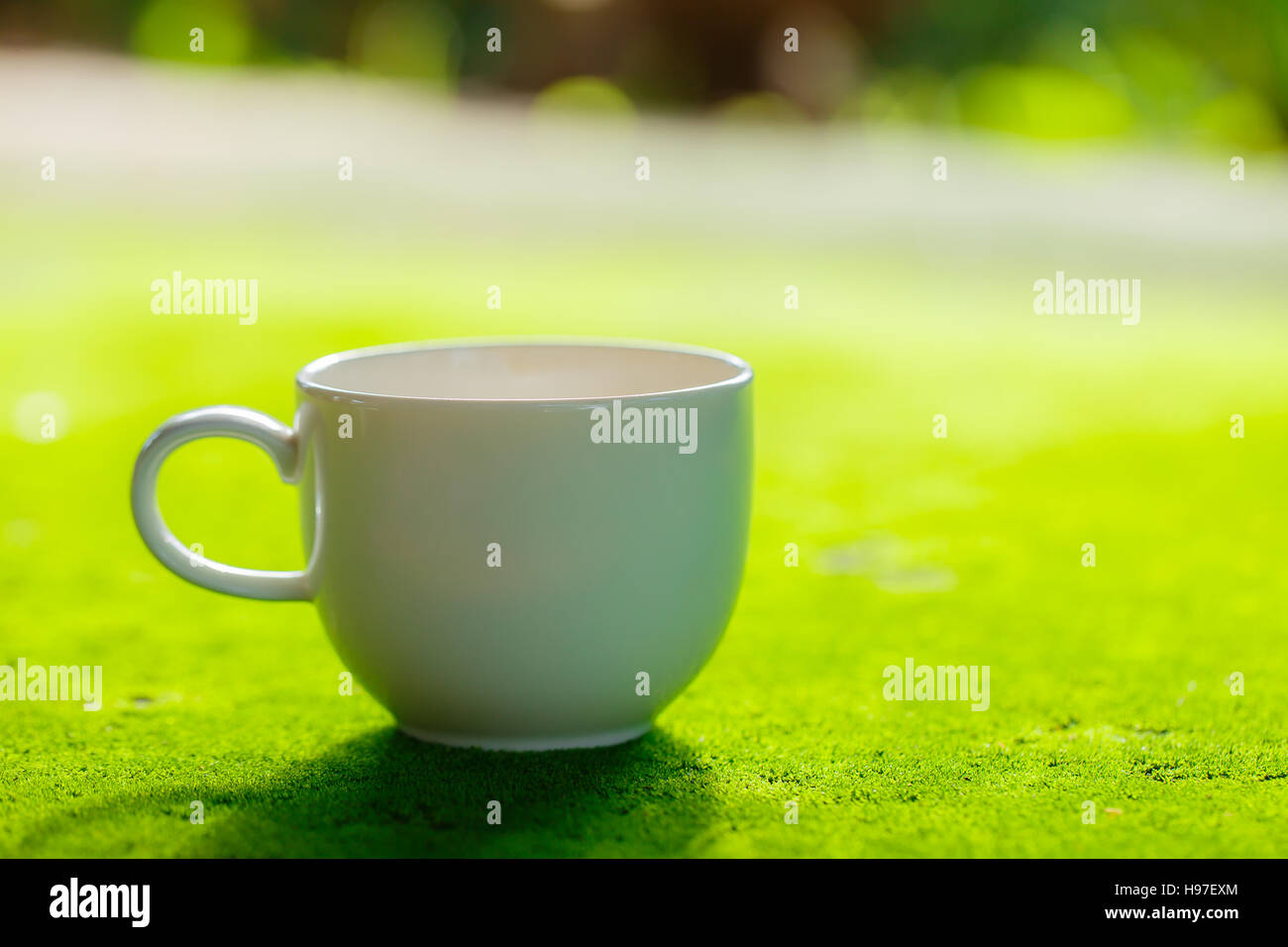 Coffee cup on Moss surface Stock Photo - Alamy