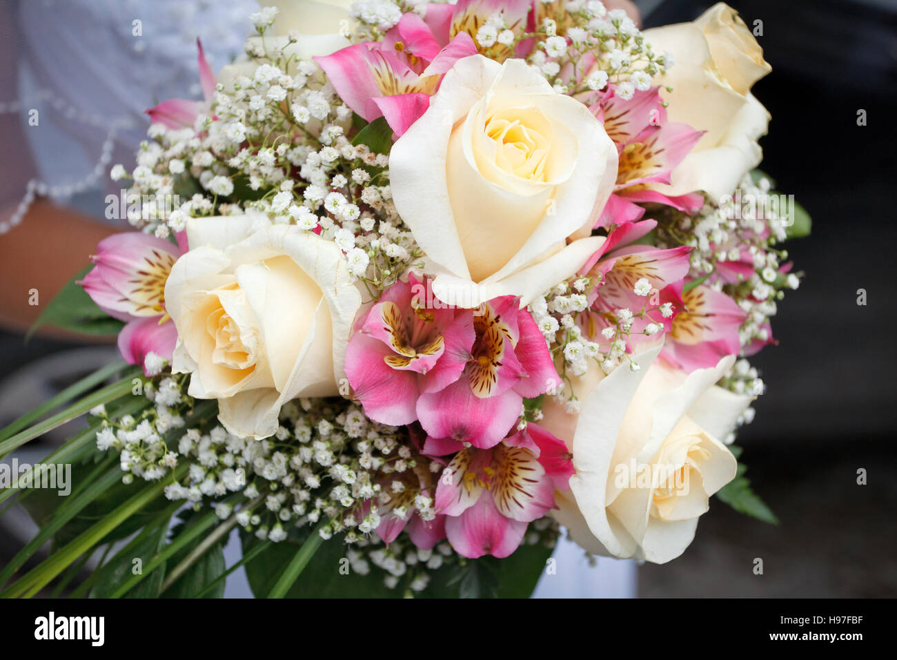 Bouquet pink roses white hires stock photography and images Alamy — free download