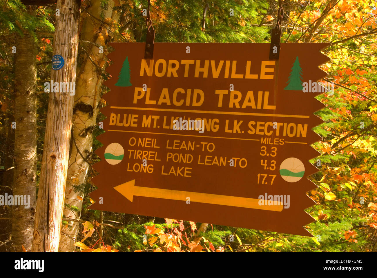 Northville-Placid Trail sign, Blue Mountain Wild Forest, Adirondack Forest Preserve, New York Stock Photo