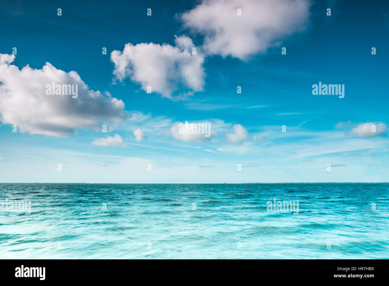 Wind surfer on his board on a calm ocean at the North Sea on a sunny blue sky day with clouds in a marine or nautical travel themed concept or healthy Stock Photo