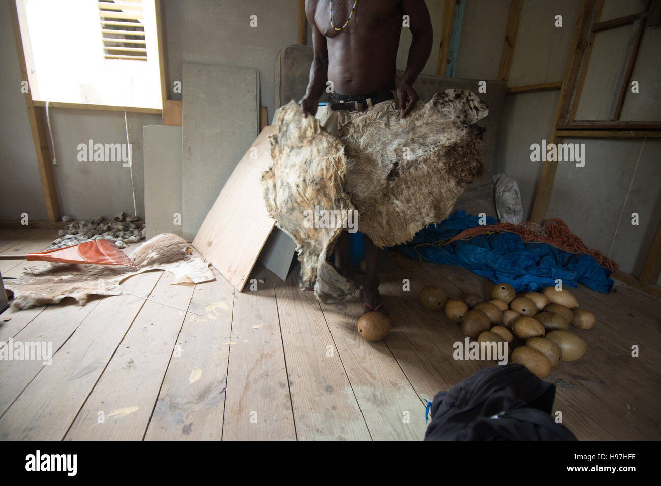 Belize Man showing a tanning hide for hand made drums in  small Village Stock Photo