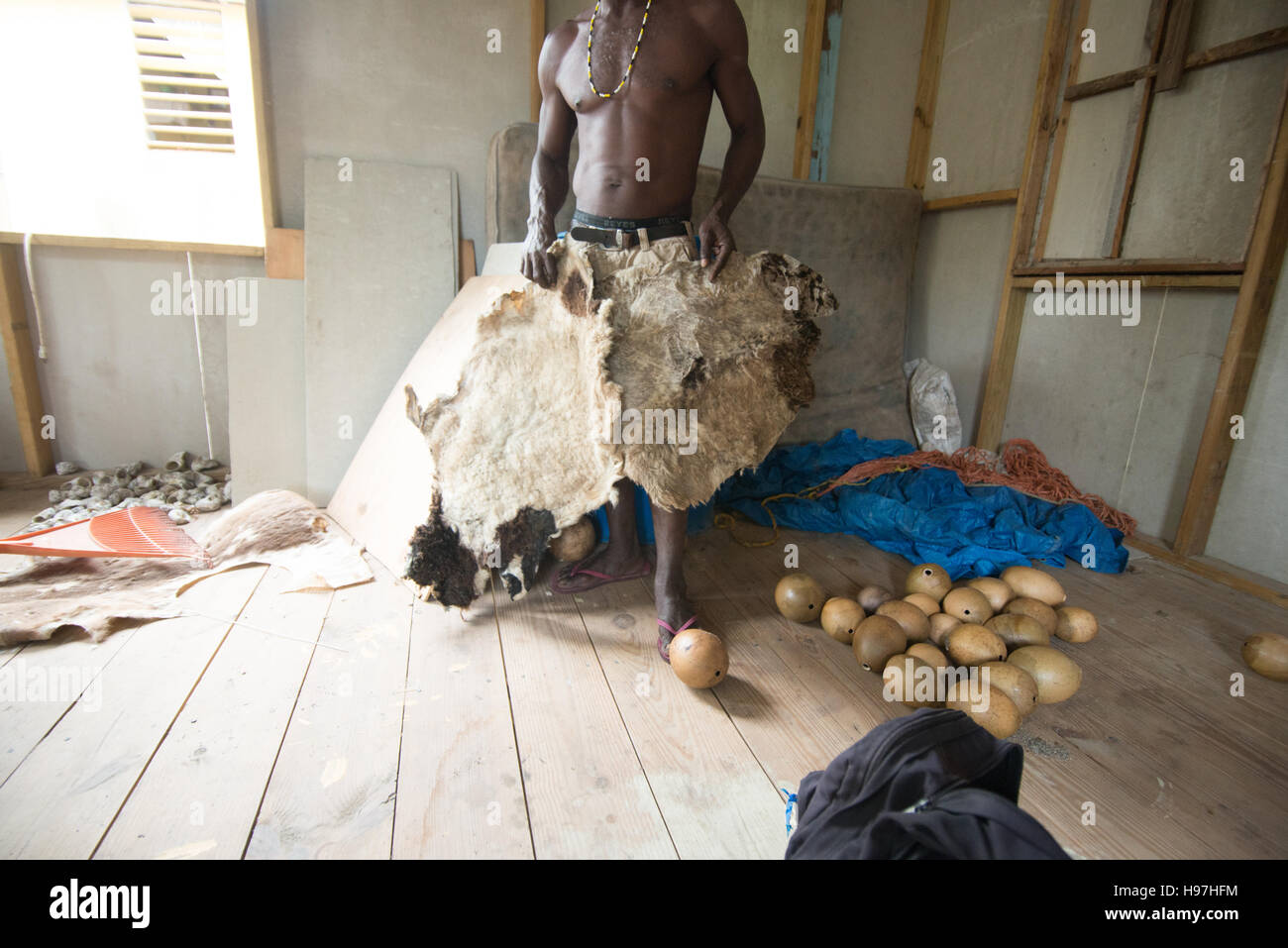 Belize Man showing a tanning hide for hand made drums in  small Village Stock Photo