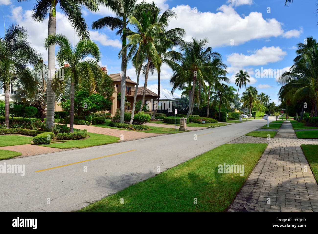 Residential street Naples, Florida, USA with palm trees and homes Stock Photo