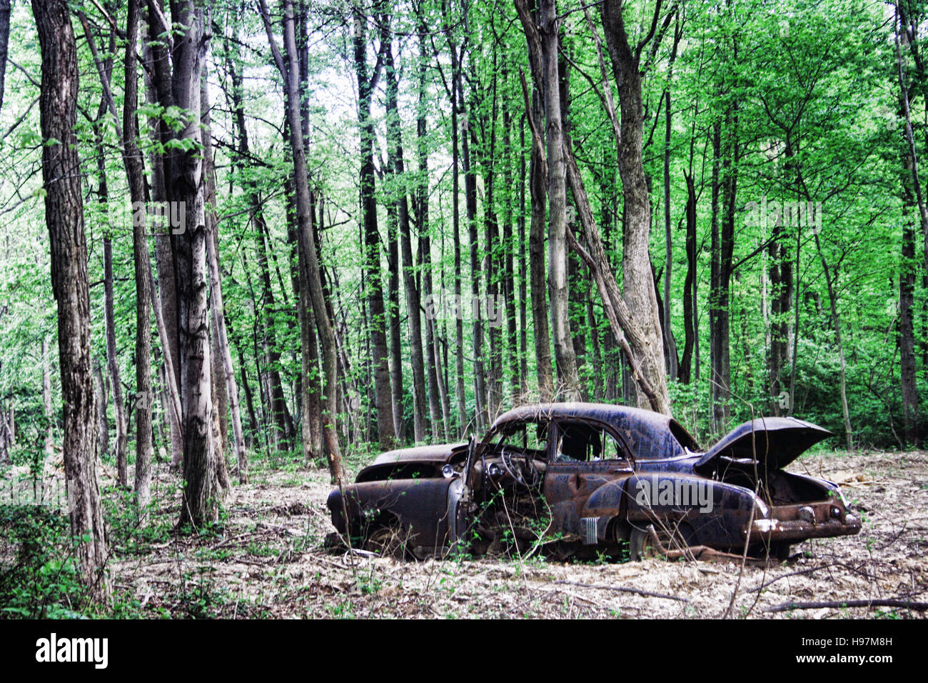 An Old Car Abandoned In The Woods Stock Photo Alamy