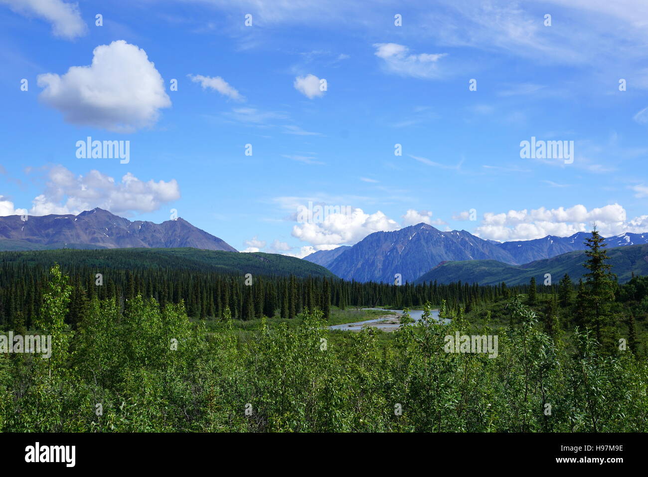 Denali National Park and Preserve (Mount McKinley), Alaska Stock Photo