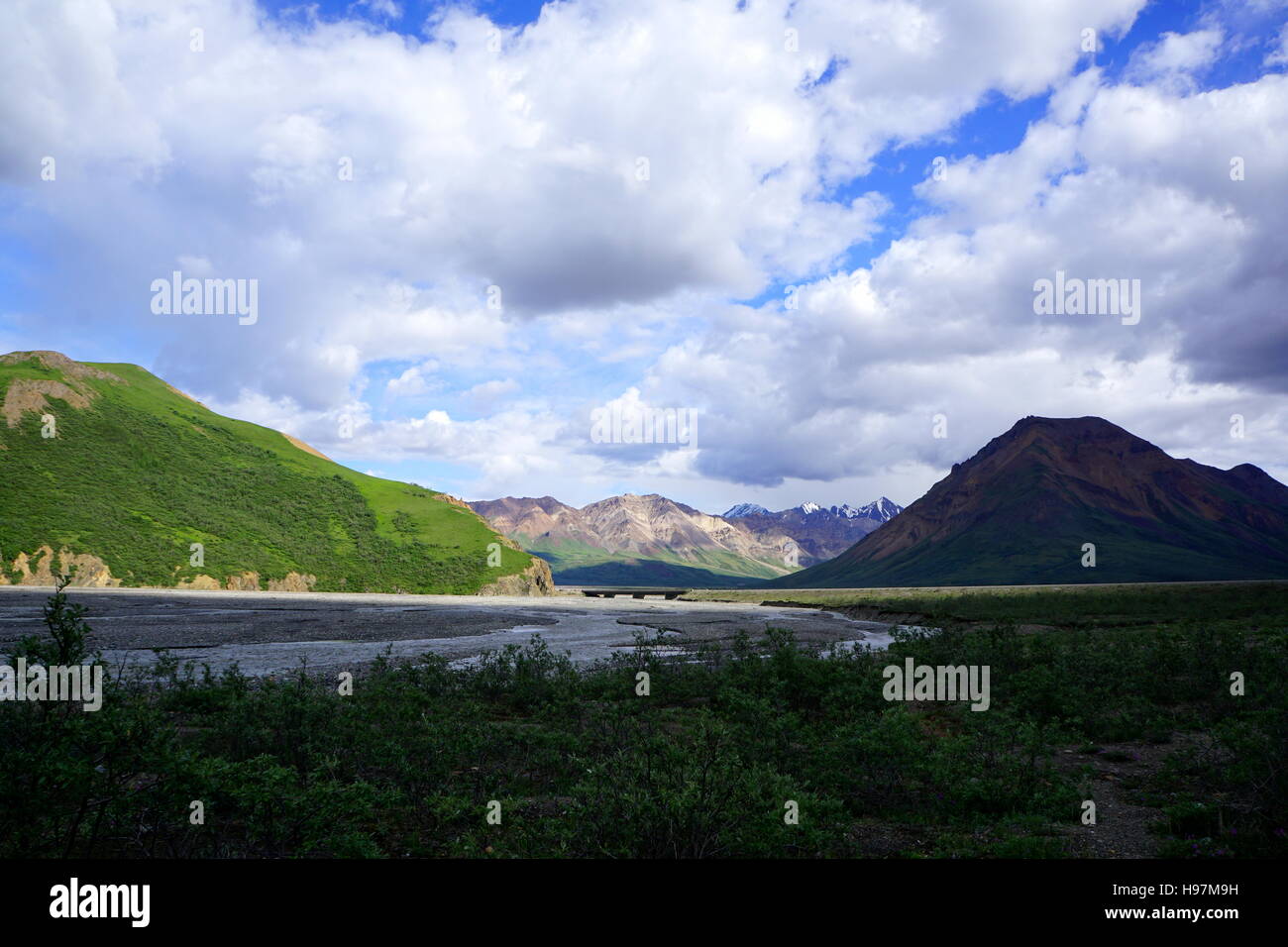 White mountains forest preserve hi-res stock photography and images - Alamy