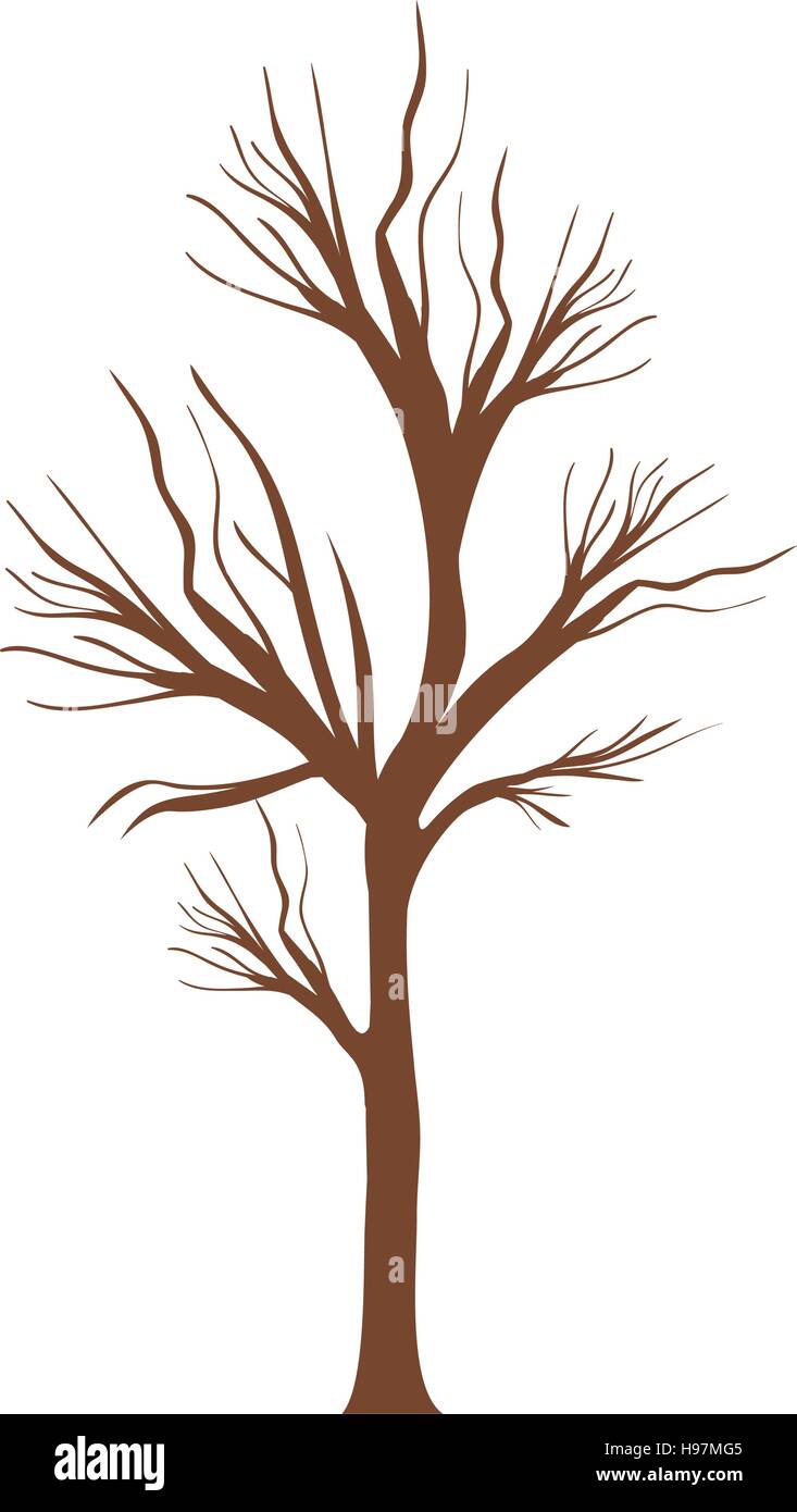 tree trunk with branchs without leaves vector illustration Stock Vector ...
