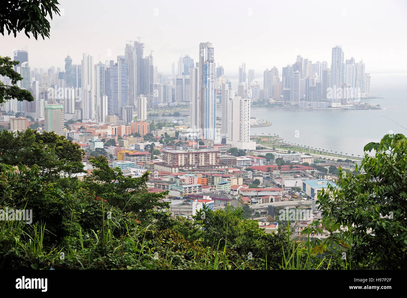 Skyline of Panama City, Rainforest, Gamboa, Panama Stock Photo