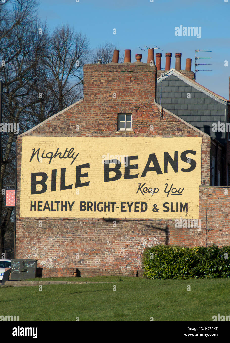Bile Beans Stock Photo