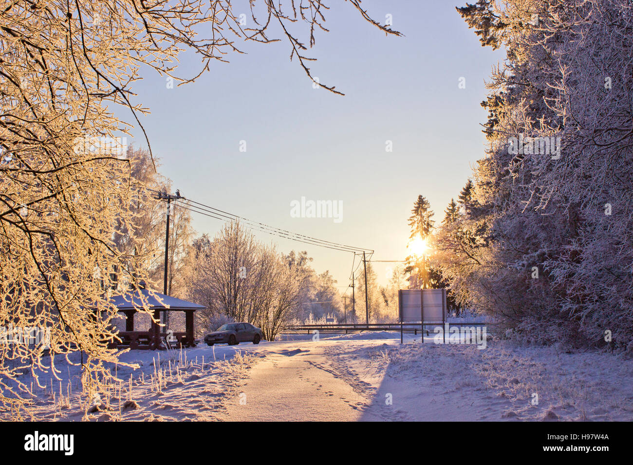 winter Stock Photo