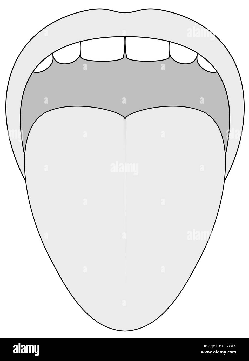 Stuck out tongue - outline illustration on white background. Stock Photo
