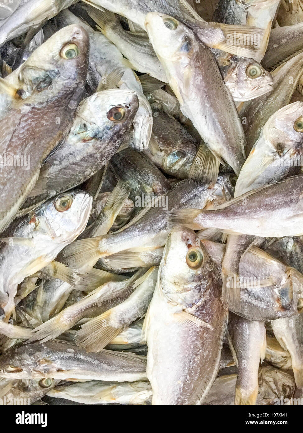 Dried salted fish Pagellus bogaraveo or Red Seabream or local people called Ikan Gelama on display at fish market. Stock Photo