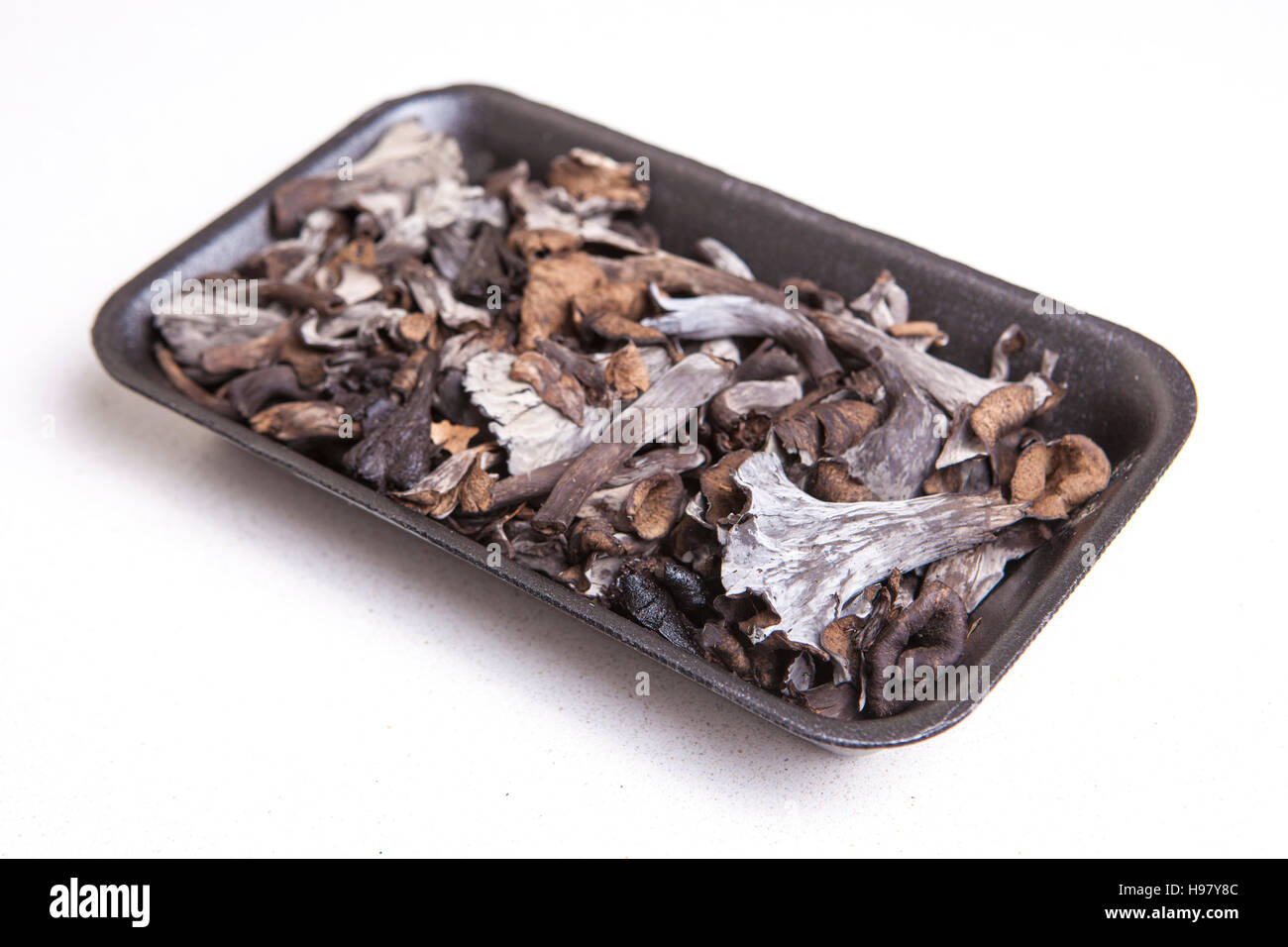 Black polythene tray full of Horn of Plenty mushrooms. Isolated Stock Photo