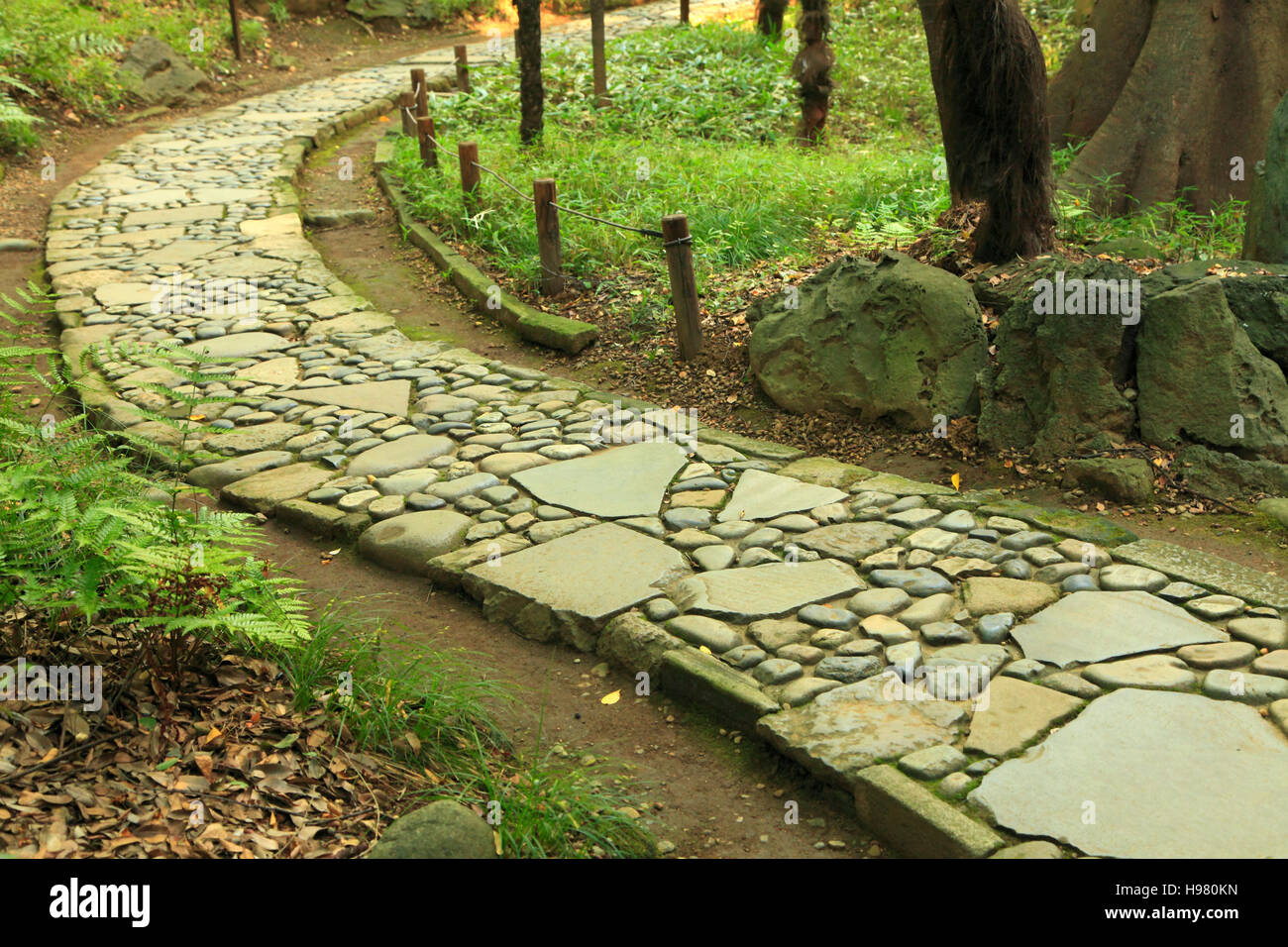 Japan, Tokyo, Koshikawa Korakuen Garden, stone path, Stock Photo