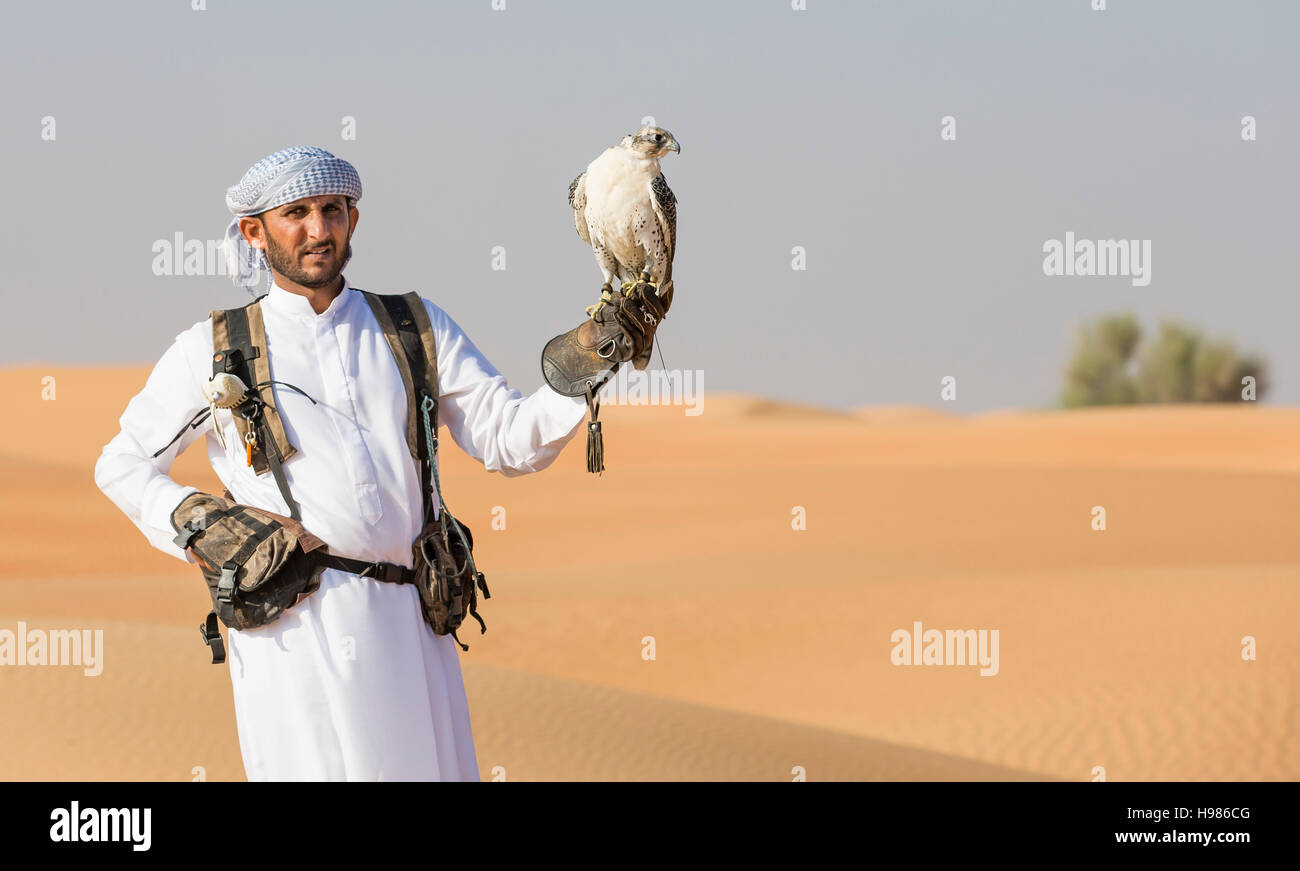 Dubai, UAE, November 19th, 2016: A falconer in traditional outfit, training a Peregrine Falcon (Falco Peregrinus) Stock Photo