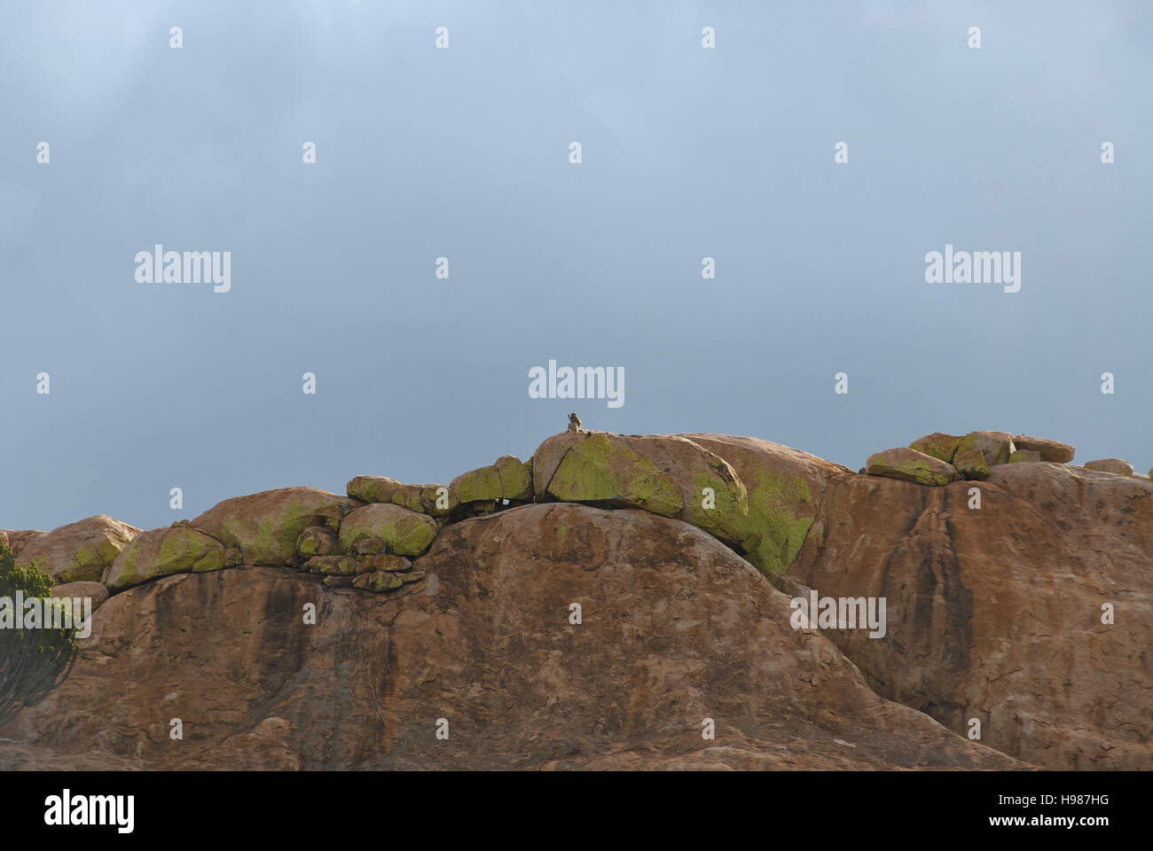 Monkey shaped rock hi-res stock photography and images - Alamy