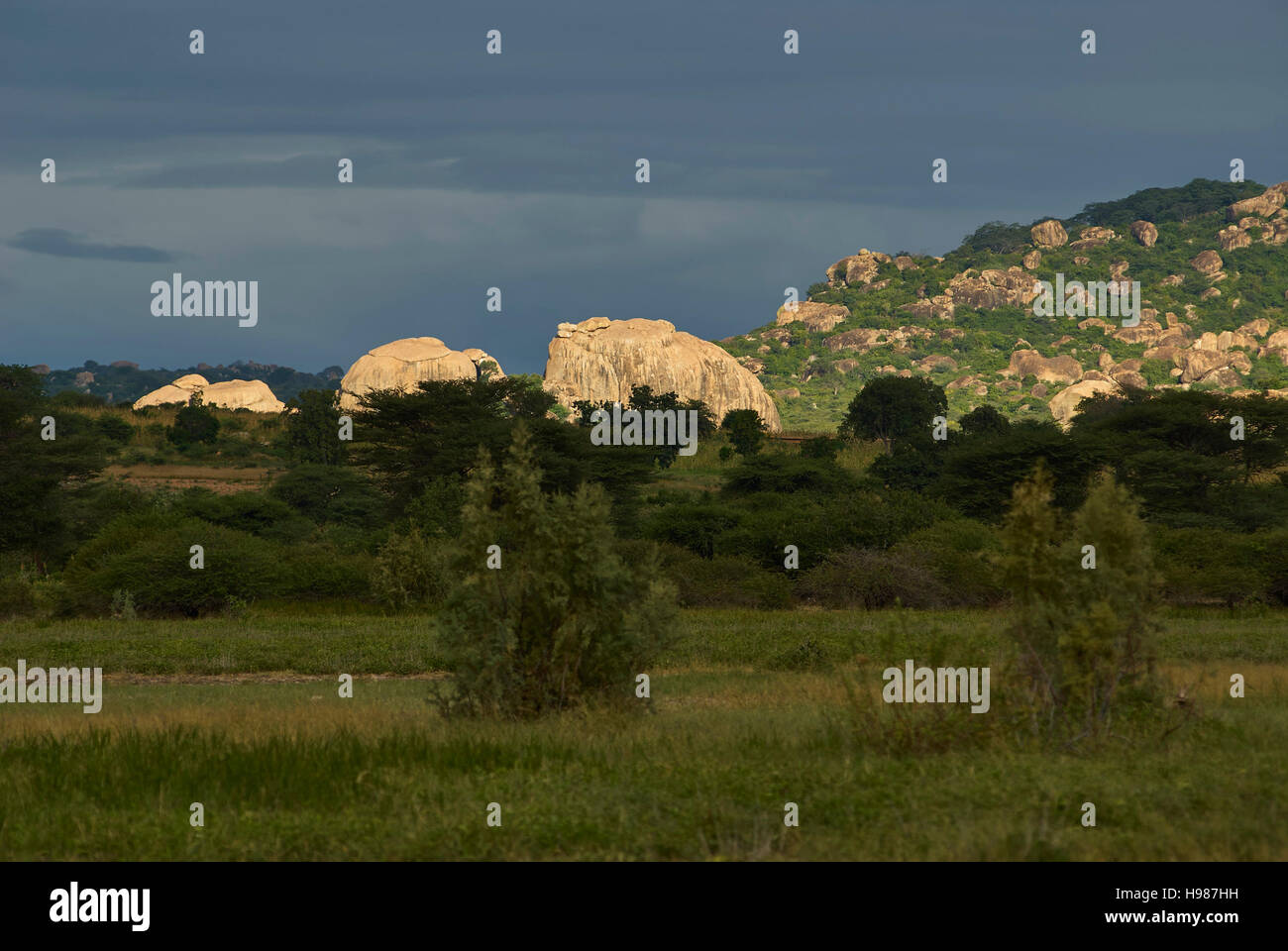 Bizarre rocks glowing in late afternoon sunlight, Central Tanzania Stock Photo