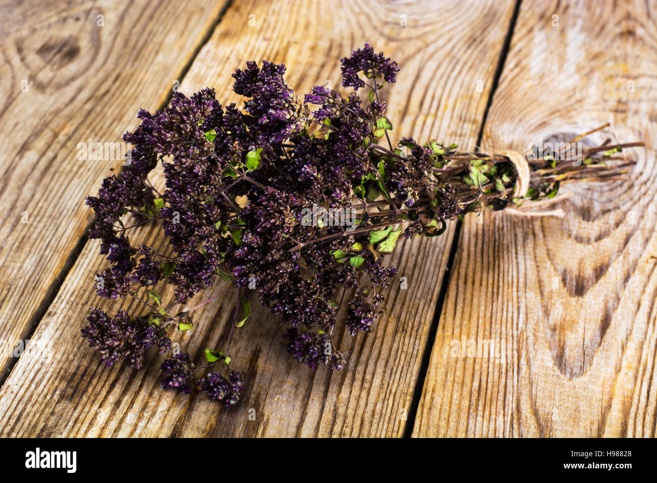 Dried Flowers and Stems of Thyme Studio Photo Stock Photo Alamy